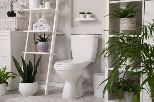 Cost of Toilet Repair in Lake Worth