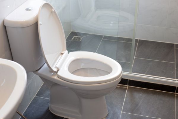 Cost of Toilet Replacement in Lake Worth
