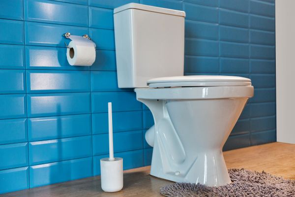 Cost of Toilet Tank Repair in Lake Worth